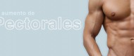 pectorales